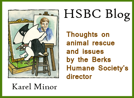 HSBC blog